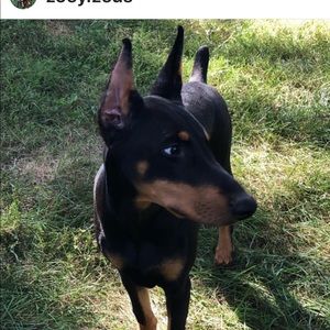 Meet your Posher, Darren